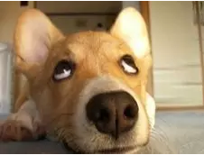 05.png